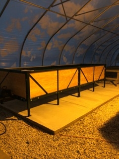 Vermicompost In Progress Icap Portal University Of Illinois Vermicompost In Progress Icap Portal University Of Illinois