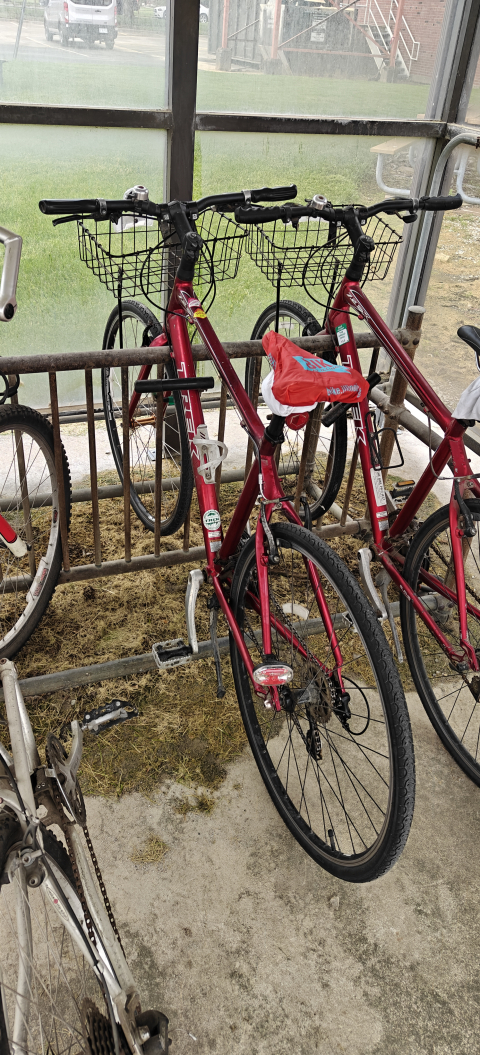 F&S departmental bicycles locked to a ladder bike rack. 