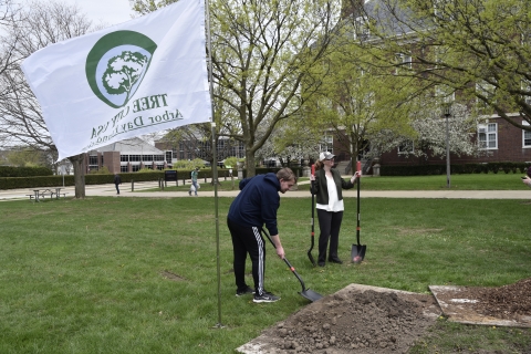 Landscape photo of a student adding dirt to a young tree on the south quad 