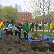 sustainability reps adding soil to Arbor Day 2015 tree