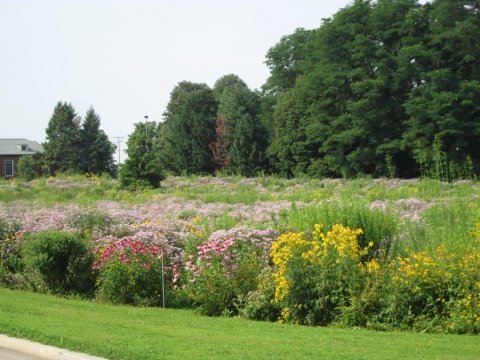 Prairie at Florida Avenue and Orchard Street