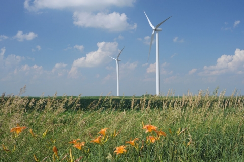 Wind turbine pictures from the Rail Splitter Wind Farm