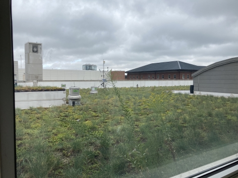 The view of the green roof at Newmark through a window.