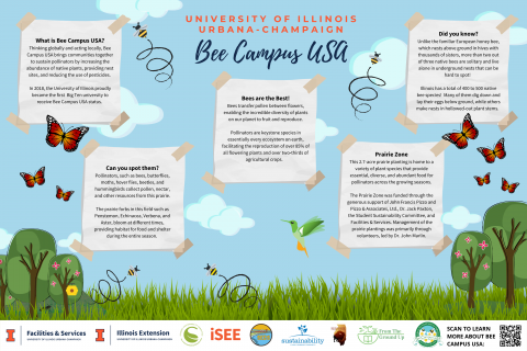 UIUC Bee Campus USA; Thinking globally and acting locally, Bee Campus USA bring communities together to sustain pollinators by increasing the abundance of native plants, providing nest sites, and reducing the use of pesticides; This 2.7-acre prairie zone was funded through the generous support of John Francis Pizzo and Pizzo & Associates, Ltd., Dr. Jack Paxton, SSC, and F&S.; Illinois has a total of 400-500 native bee species!; Pollinators such as bees, butterflies, moths, hover flies, etc. are here!