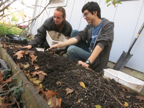 Volunteers planting at LAR