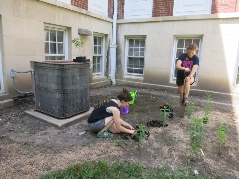 Volunteers planting Native Plants at LAR