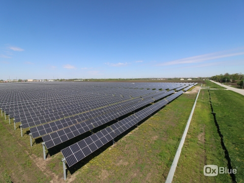 solar panels facing the right of the image with green ground cover and a bright blue sky