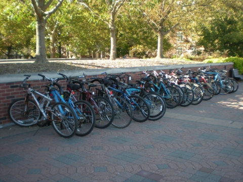 Bicycle Parking at the Undergraduate Library plaza - picture 2