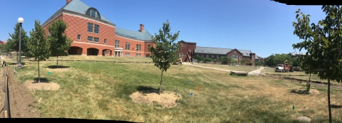 View of Bardeen quad from W