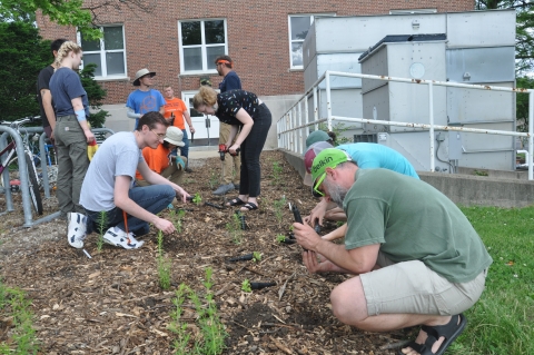 Volunteers in action planting native species at the new National Soybean Research Center pollinator garden..