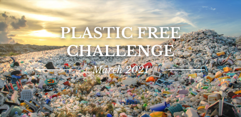 Picture of plastic piles on a beach with the title reading "Plastic Free Challenge: March 2021"