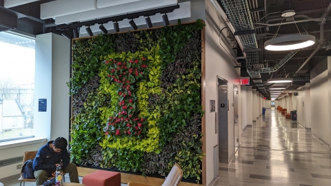 Wall of greenery displaying different shades of green plants. The plants have been arranged to created a capital I logo of the University of Illinois