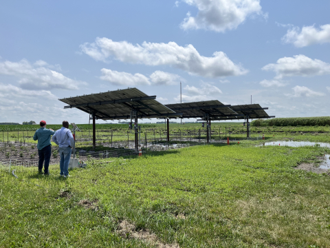 3 panel solar array over crop field