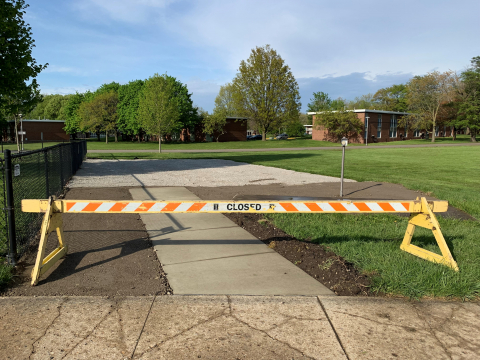 Accessible Gardening in Orchard Downs Image