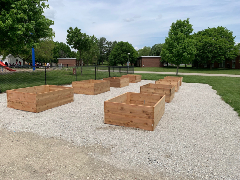 Accessible Gardening in Orchard Downs Image