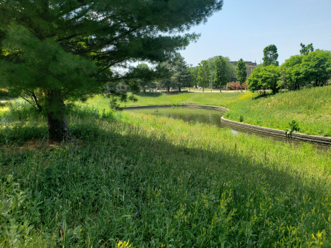 Dorner Drive Retention Pond Image