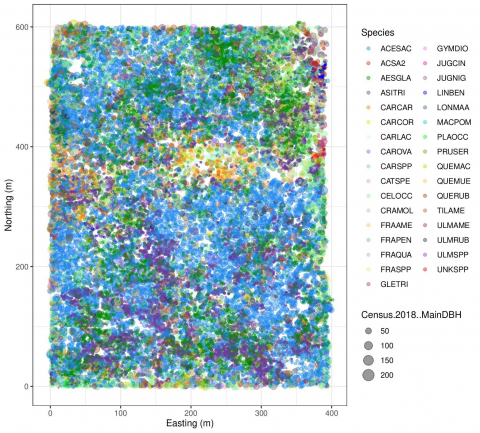 Census of Trelease Woods – Phase 2 Image