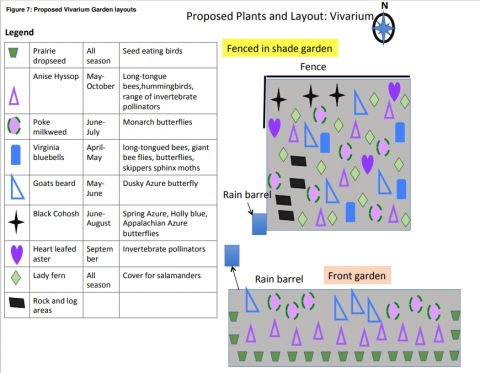 Joint Pollinator Garden Image