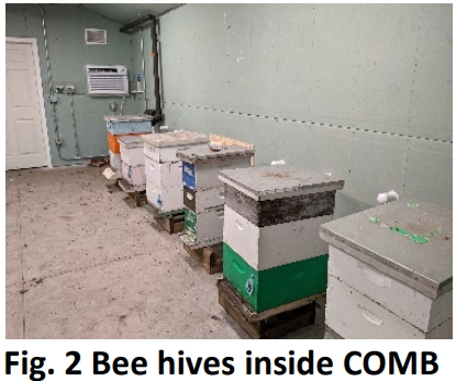 Bee Research Facility Sustainable Auxiliary Building Image