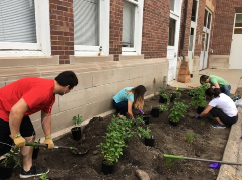 Davenport Hall Carbon Garden