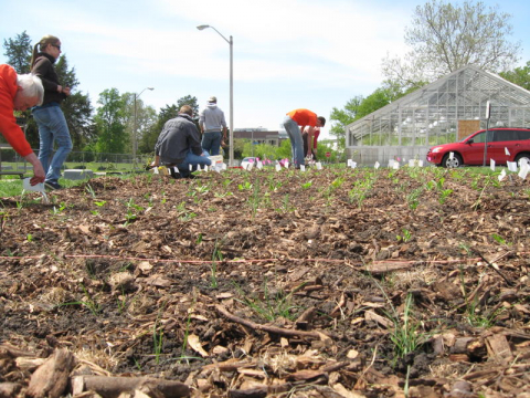 Fall 2012 Native Prairie Planting Image